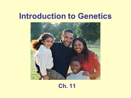 Introduction to Genetics Ch. 11. Write the information on the slides that show this symbol or that is this color.