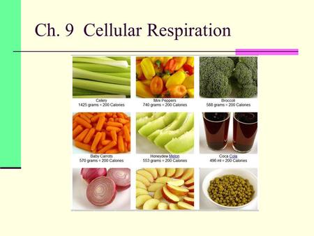 Ch. 9 Cellular Respiration. Harvesting chemical energy Living is lots of work Polymerization, Growth, highly organized, and movement all require energy.