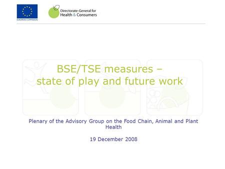 BSE/TSE measures – state of play and future work Plenary of the Advisory Group on the Food Chain, Animal and Plant Health 19 December 2008.