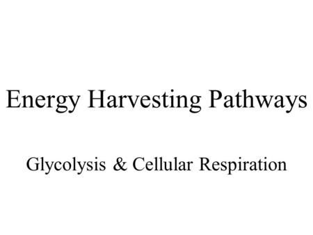 Energy Harvesting Pathways Glycolysis & Cellular Respiration.