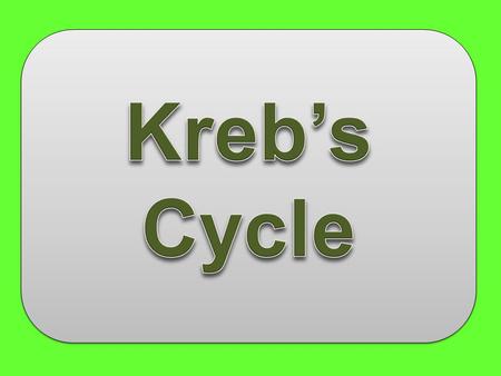 Food Polysaccharides Fats Proteins SugarsGlycerolFatty acids Amino acids Amino groups Glycolysis Acetyl- CoA Krebs Cycle Electron Transport.