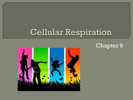 Chapter 9.  Hunger can present a variety of different symptoms in different people Ultimately, the cause is the same, your body has a need for food 