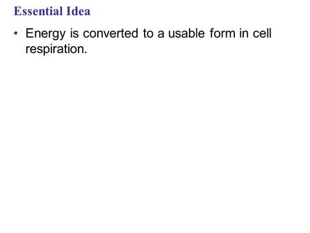 Essential Idea Energy is converted to a usable form in cell respiration.