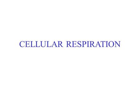 CELLULAR RESPIRATION. Overall Process C 6 H 12 O 6 + 6O 2  6CO 2 + 6H 2 O + ENERGY Purpose: Organisms routinely break down complex molecules in controlled.