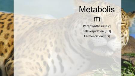 Photosynthesis [8.2] Cell Respiration [8.3] Fermentation [8.3]