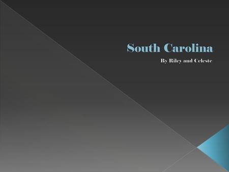  Lord Proprietors  Founded in 1663  To make money by renting and selling land in Carolina.