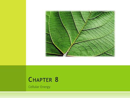 Cellular Energy C HAPTER 8. R EVIEW  What is energy?  Can energy be created?  What are some forms of energy?  Why do living things need energy? 