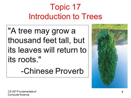 Topic 17 Introduction to Trees