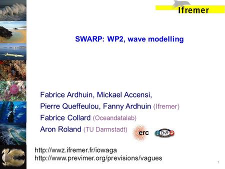 SWARP: WP2, wave modelling