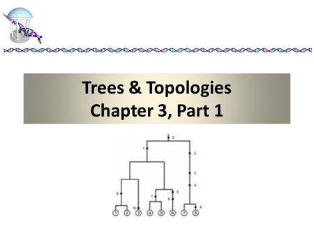 Trees & Topologies Chapter 3, Part 1. Terminology Equivalence Classes – specific separation of a set of genes into disjoint sets covering the whole set.