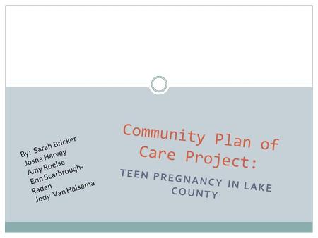 TEEN PREGNANCY IN LAKE COUNTY Community Plan of Care Project: By: Sarah Bricker Josha Harvey Amy Roelse Erin Scarbrough- Raden Jody Van Halsema.