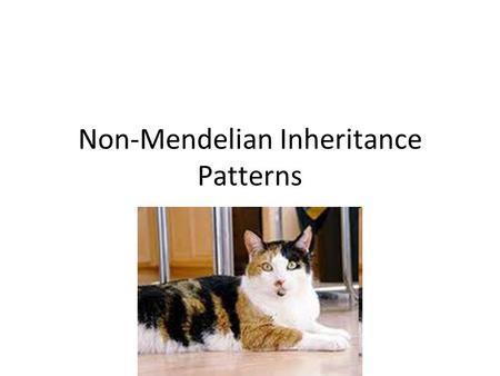 Non-Mendelian Inheritance Patterns. Some Traits Don’t Follow Simple Mendelian Rules: Some traits are determined by more than one pair of genes. These.