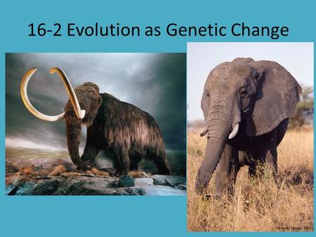 16-2 Evolution as Genetic Change