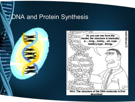 DNA and Protein Synthesis. Nucleic Acid Review Name of the molecule identified by the arrow: 1.Phosphate group 2.Nitrogen base 3.Adenine 4.Sugar.