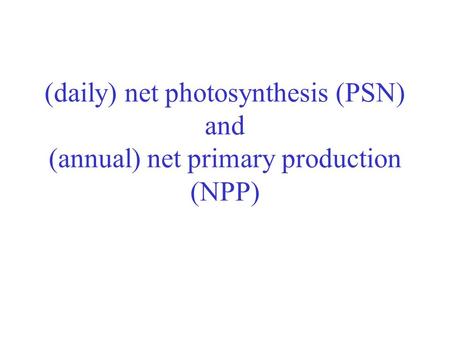 (daily) net photosynthesis (PSN) and (annual) net primary production (NPP)