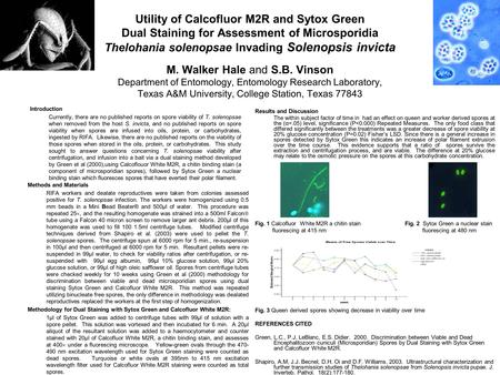 Utility of Calcofluor M2R and Sytox Green Dual Staining for Assessment of Microsporidia Thelohania solenopsae Invading Solenopsis invicta M. Walker Hale.