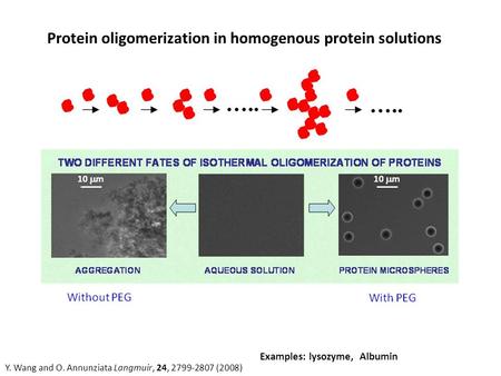 Protein oligomerization in homogenous protein solutions Crosslinker:GlutaraldehydeOHC-CH 2 -CH 2 -CH 2 -CHO Y. Wang and O. Annunziata Langmuir, 24, 2799-2807.