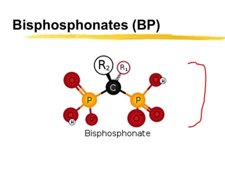 Bisphosphonates (BP) http://en.wikipedia.org/wiki/Bisphosphonate http://www.ncbi.nlm.nih.gov/pmc/articles/PMC2667901/ http://www.duc.auburn.edu/~deruija/endo_bisphos.pdf.