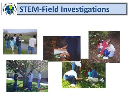 STEM-Field Investigations. 1.Setting the Stage 2.Asking Questions and Defining Problems 3.Planning and Carrying Out Investigations Engaging in Field Investigations.