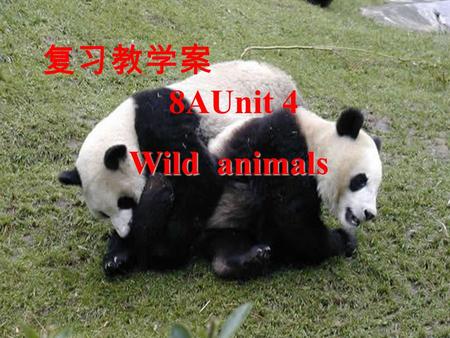 复习教学案 8AUnit 4 Wild animals Wild animals Do you know them? butterfly zebratigersnake wolf monkeybearlion dolphin kangaroo.