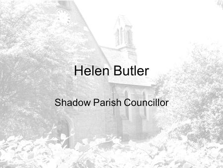 Helen Butler Shadow Parish Councillor. Before I start… ….. Comments Forms Fill in and pop it into red box at the back. Ideas what to spend precept on.