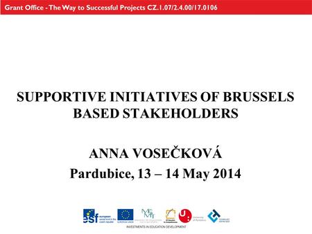 SUPPORTIVE INITIATIVES OF BRUSSELS BASED STAKEHOLDERS ANNA VOSEČKOVÁ Pardubice, 13 – 14 May 2014.