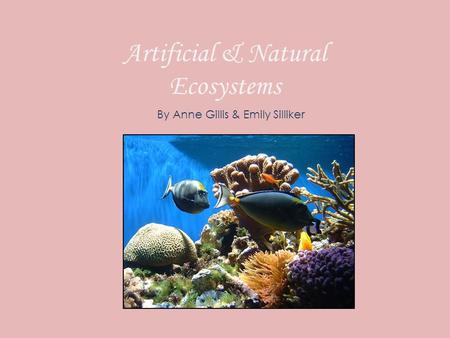 Artificial & Natural Ecosystems By Anne Gillis & Emily Silliker.