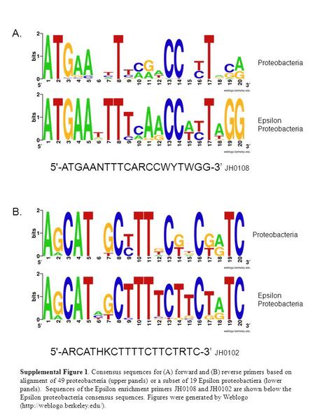 A. B. Proteobacteria Epsilon Proteobacteria Epsilon Proteobacteria Supplemental Figure 1. Consensus sequences for (A) forward and (B) reverse primers based.