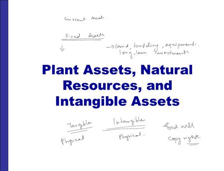 Plant Assets, Natural Resources, and Intangible Assets.