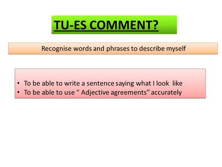 Recognise words and phrases to describe myself To be able to write a sentence saying what I look like To be able to use “ Adjective agreements” accurately.