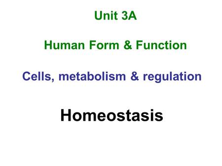 Unit 3A Human Form & Function Cells, metabolism & regulation