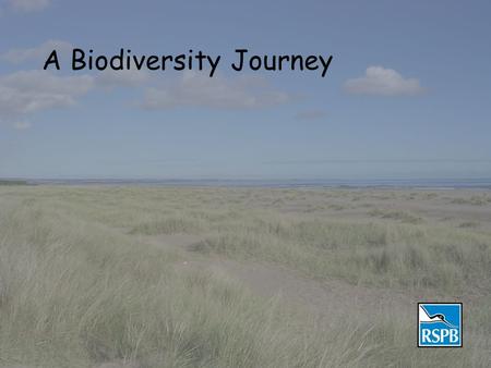 A Biodiversity Journey. Biodiversity Biodiversity is about SPECIES Here are some of Scotland's.