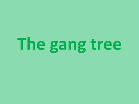 The gang tree. Once upon a time…. In a large forest, there was a gun of trees, whose names were PITO, PETO, POTU, PATA and PALO. They were good friends.