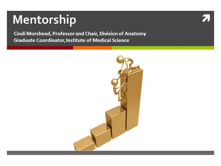  Mentorship Cindi Morshead, Professor and Chair, Division of Anatomy Graduate Coordinator, Institute of Medical Science.