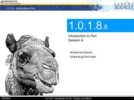 1.0.1.8 – Introduction to Perl 10/25/2015 1.0.1.8.8 - Introduction to Perl - Recipes and Idioms 1 1.0.1.8.8 Introduction to Perl Session 8 · recipes and.