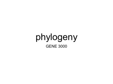 Phylogeny GENE 3000. why is coalescent theory important for understanding phylogenetics (species trees)? coalescent theory lets us test our assumptions.