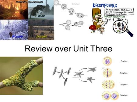 Review over Unit Three. I will need your help during this review… Raise your hand to help finish the sentences or answer the questions.