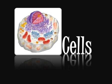 Larger cells do not function as efficiently – The surface is the only way cells interact with the environment – Surface-area-to-volume ratio As cell size.