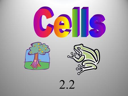 2.2 With more advanced microscopes, scientists discovered that all cells can be grouped into two types: prokaryotic cells eukaryotic cells Cell Types.