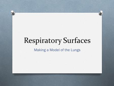 Respiratory Surfaces Making a Model of the Lungs.