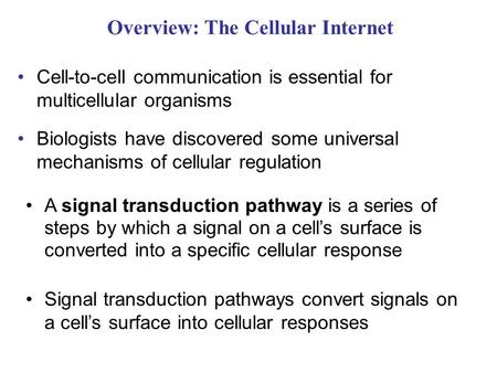 Overview: The Cellular Internet