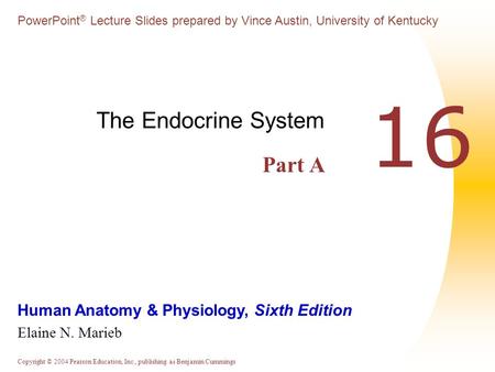 Copyright © 2004 Pearson Education, Inc., publishing as Benjamin Cummings Human Anatomy & Physiology, Sixth Edition Elaine N. Marieb PowerPoint ® Lecture.