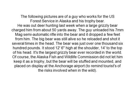 The following pictures are of a guy who works for the US Forest Service in Alaska and his trophy bear. He was out deer hunting last week when a large.