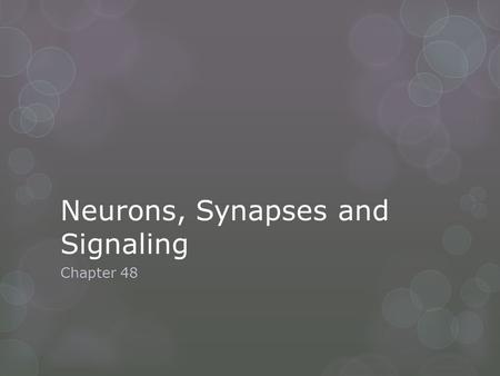 Neurons, Synapses and Signaling