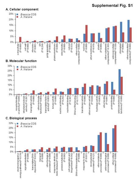 Supplemental Fig. S1 extracellular (P=0.000) cell wall (P=0.000) ribosome (P=0.001) ER (P=0.294) golgi apparatus (P=0.005) plasma membrane (P=0.000) mitochondria.