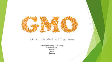 Genetically Modified Organisms A presentation by : Jen Kuang Aishwarya Roy Pantea Matt Jessica.