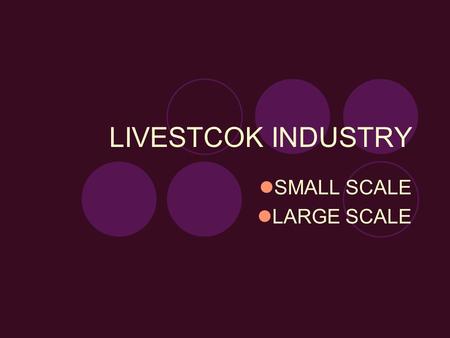 LIVESTCOK INDUSTRY SMALL SCALE LARGE SCALE. DAIRY CATTLE INDUSTRY.