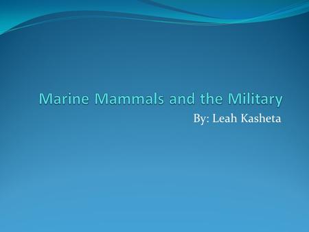 Marine Mammals and the Military