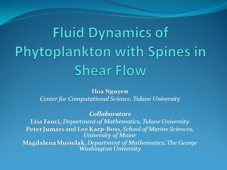 Hoa NguyenHoa Nguyen Center for Computational Science, Tulane University Collaborators Lisa FauciLisa Fauci, Department of Mathematics, Tulane University.