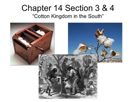 Chapter 14 Section 3 & 4 “Cotton Kingdom in the South”